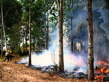 (File photo: VNA) (File photo: VNA)